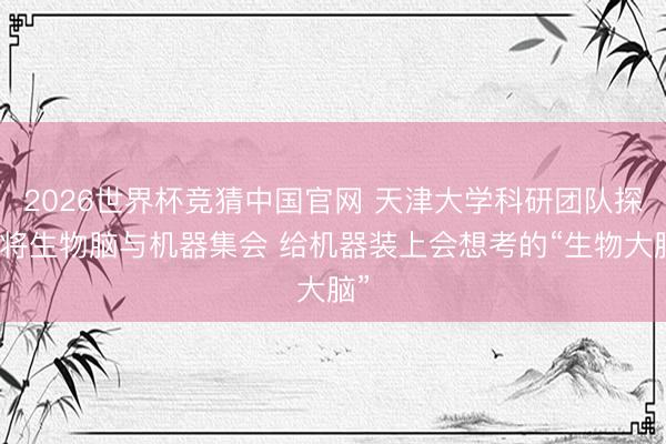 2026世界杯竞猜中国官网 天津大学科研团队探索将生物脑与机器集会 给机器装上会想考的“生物大脑”