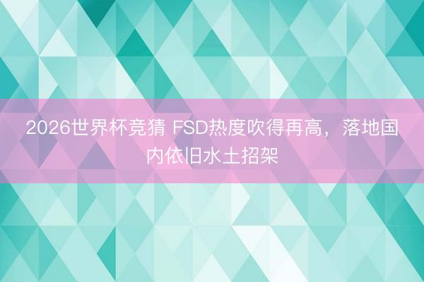 2026世界杯竞猜 FSD热度吹得再高，落地国内依旧水土招架