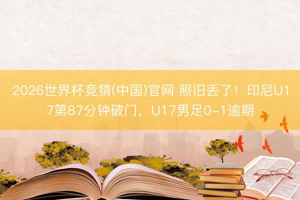 2026世界杯竞猜(中国)官网 照旧丢了！印尼U17第87分钟破门，U17男足0-1逾期