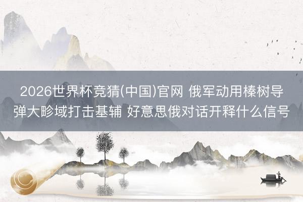 2026世界杯竞猜(中国)官网 俄军动用榛树导弹大畛域打击基辅 好意思俄对话开释什么信号