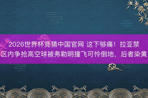 2026世界杯竞猜中国官网 这下够痛！拉亚禁区内争抢高空球被弗勒明撞飞可怜倒地，后者染黄