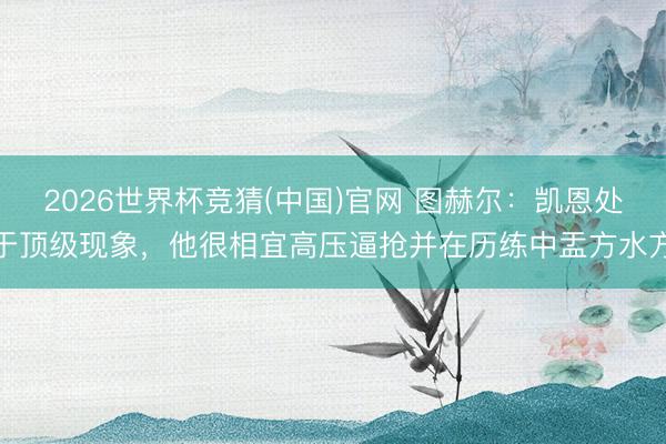 2026世界杯竞猜(中国)官网 图赫尔：凯恩处于顶级现象，他很相宜高压逼抢并在历练中盂方水方