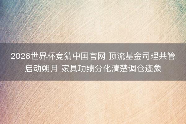 2026世界杯竞猜中国官网 顶流基金司理共管启动朔月 家具功绩分化清楚调仓迹象