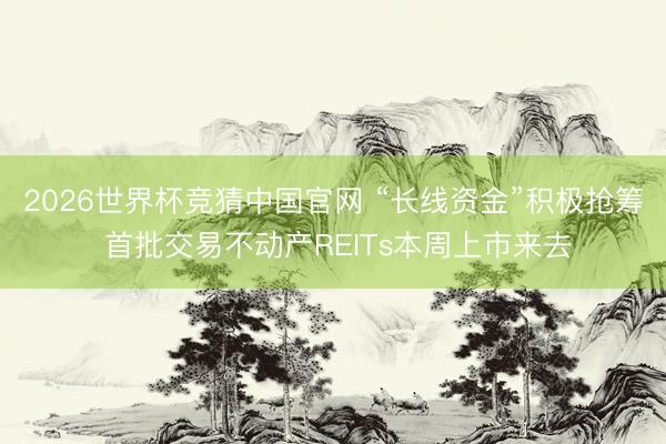 2026世界杯竞猜中国官网 “长线资金”积极抢筹 首批交易不动产REITs本周上市来去